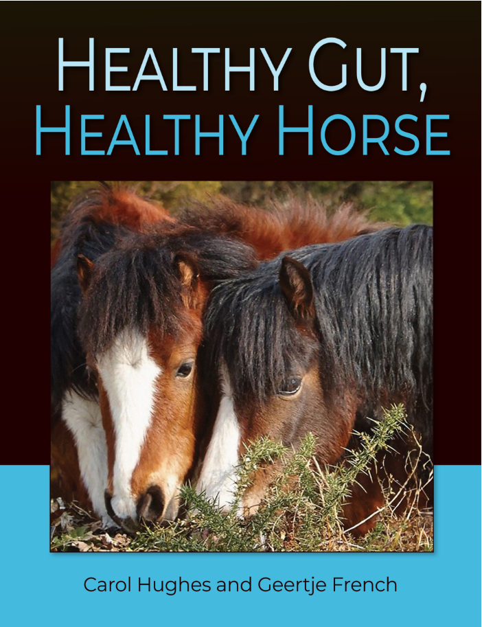 Healthy Gut, Healthy&nbsp;Horse
