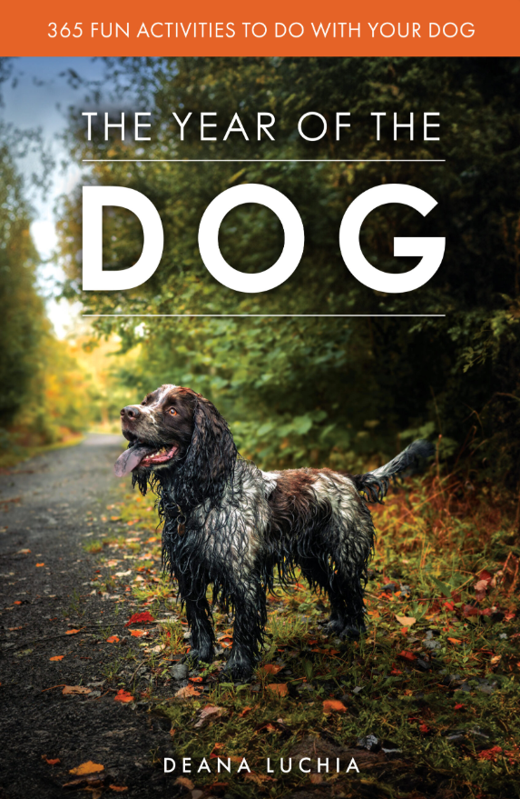 The Year of the&nbsp;Dog